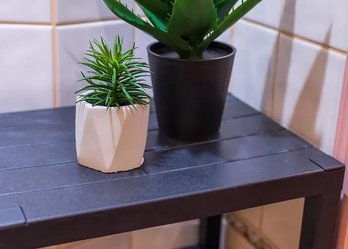 The Cozy Hub, * וארנה